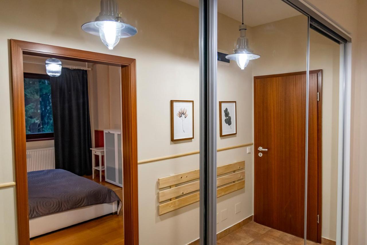 Clabucet Nest Deluxe Apartment Predeal Zewnętrze zdjęcie